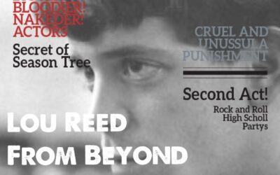 RNRF Issue No 18 Lou Reed From Beyond The Grave