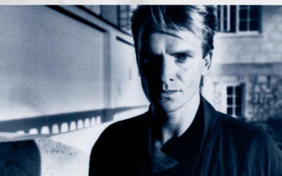 “The Dream Of The Blue Turtles” by Sting
